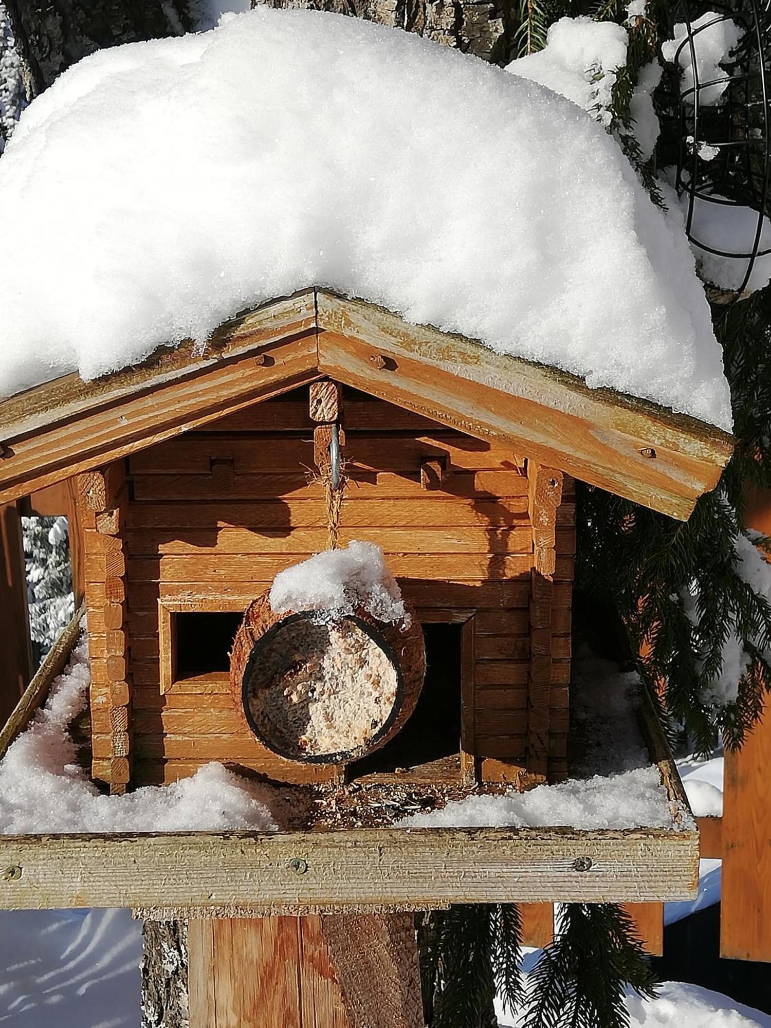 Villa Bauernhof Bachgut Mühlbach am Hochkönig Esterno foto